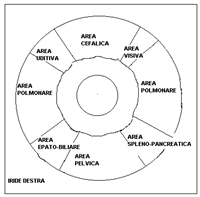 iridologia_1