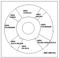 iridologia_2