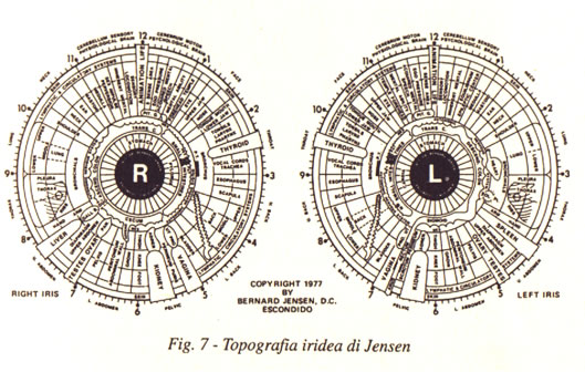 iridologia_jensen